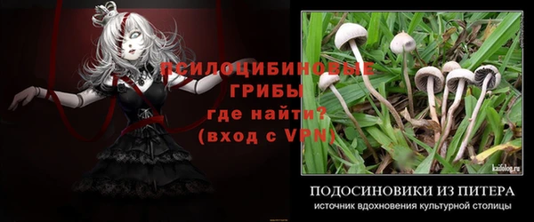 дурь Абдулино