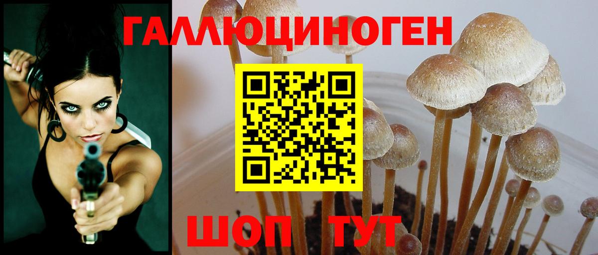 Псилоцибиновые грибы мицелий Клинцы